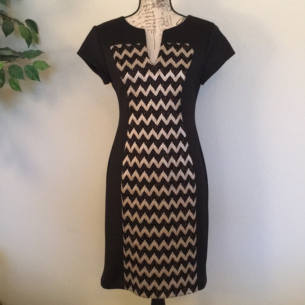 Beautiful Black & Gold Fitted Dress